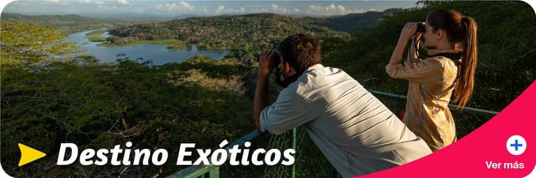 Imagen - Exoticos