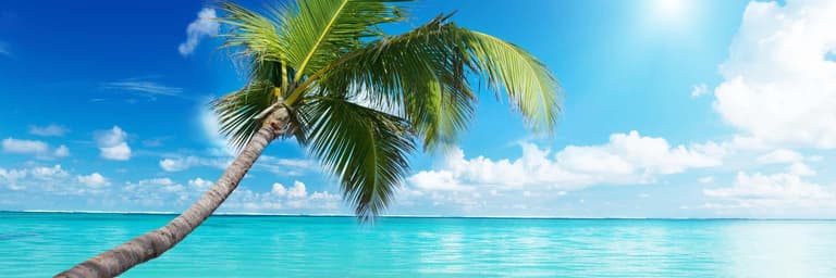 Ideas para tu próximo viaje!