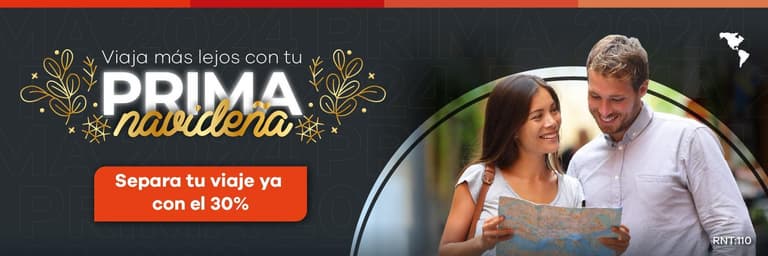 Prima Navideña