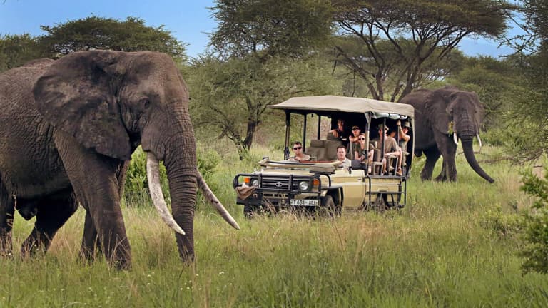 Image - Wildlife Safaris