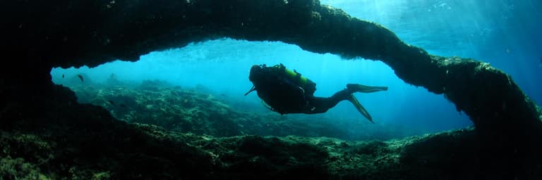 Image - Diving Baptism