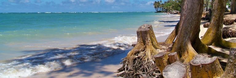 Playa: Alberghi e Resort