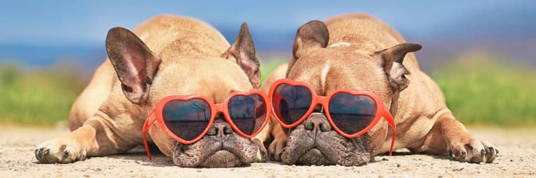 День Святого Валентина