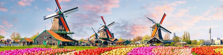 ทัวร์ชมเมือง