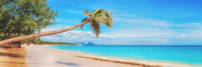 Immagine - Scopri tutti i nostri pacchetti di viaggio