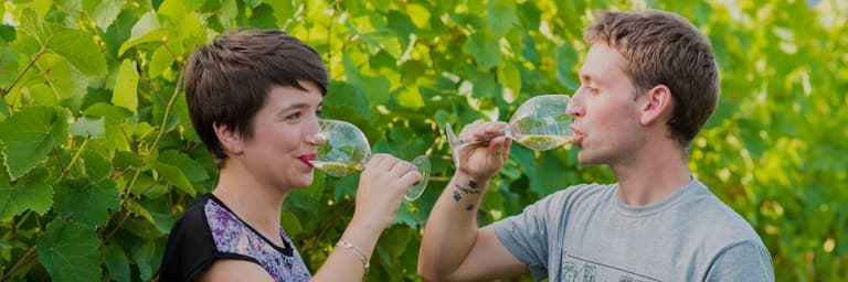 Imagen - El mundo del txakoli