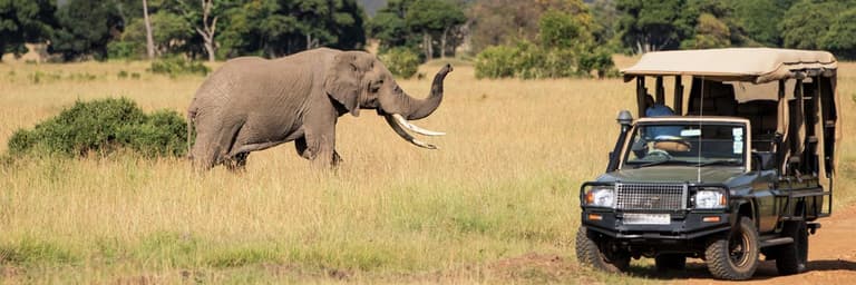 Rejseforespørgseler