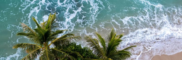 Εικόνα - Top Selling