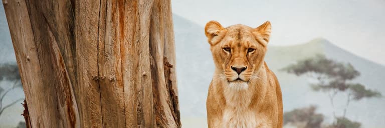 Secret Village Watamu