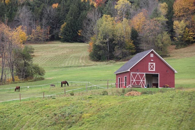 De la ferme à la table
