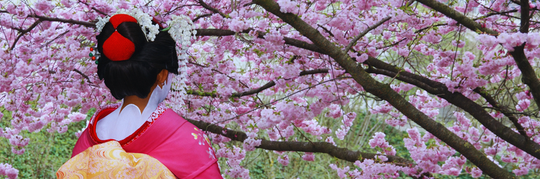 Imagen - Viajes especialmente organizados por Viatges Magon, con salidas desde Menorca