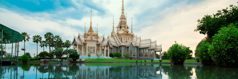 Exóticos | Salidas Grupales