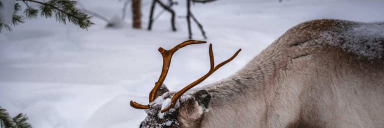 Sugjerimet tona per udhetime: