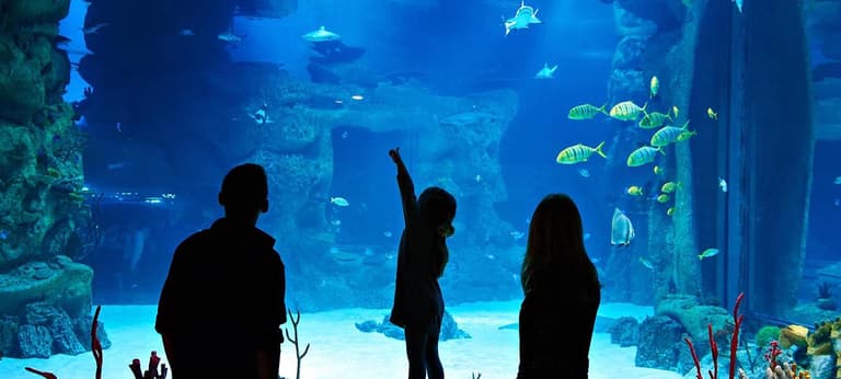 Image - Top Attractions