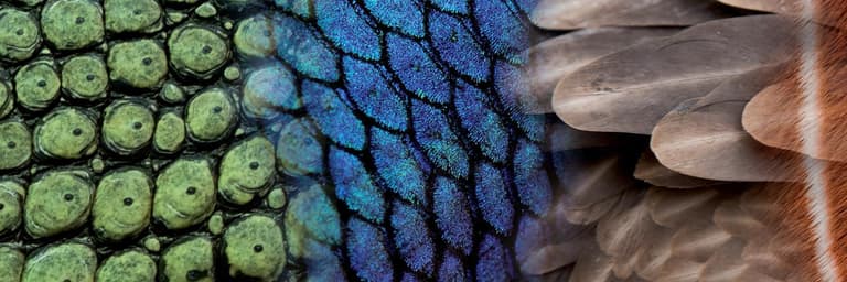 Esperienza di viaggio