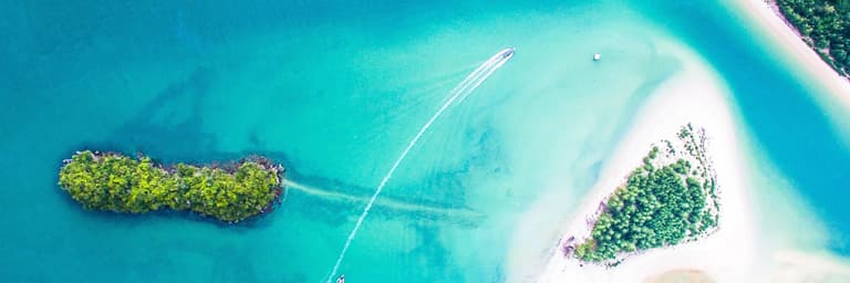 Image - NOS COUPS DE COEUR