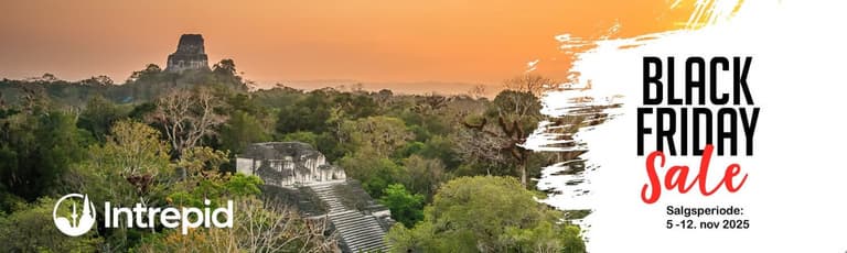 Image - Beautiful and surreal sunset at Tikal Temples, Guatemala (Copyrigth shutterstock_1172454019)