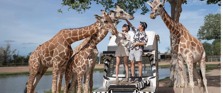 Image - Top Experiences