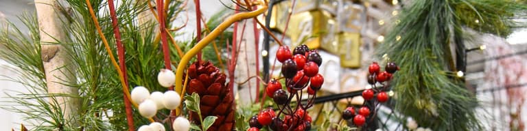 Vianočné ponuky