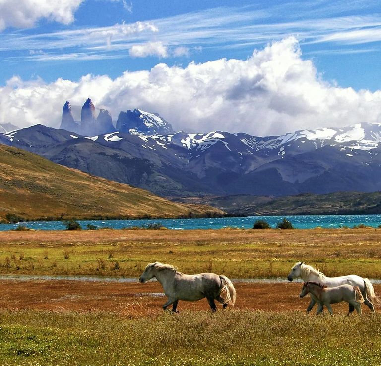 Image - Nature & Landscape