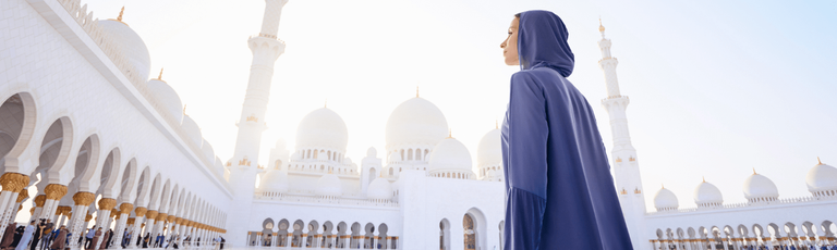 Image - Halal Special Tour