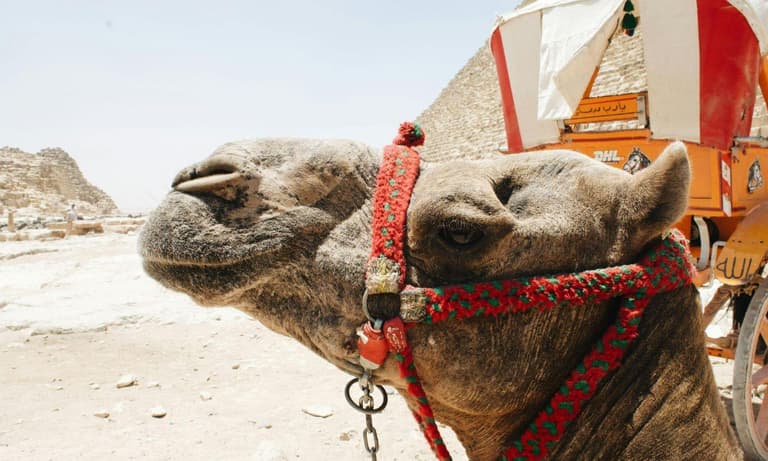 Imagen - CHARTER SAïDIA