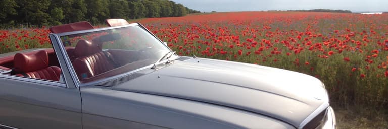 Obraz - Mietwagenrundreisen