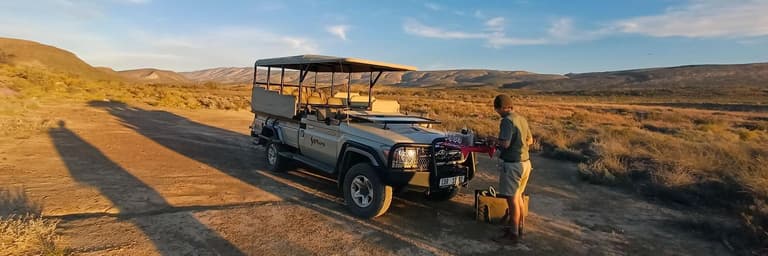 Rejseforespørgseler