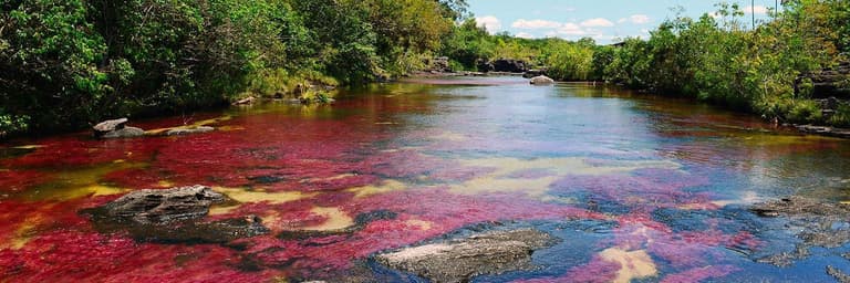 Imagem - Caño Cristales: um paraíso aquático onde a natureza é pintada com cores