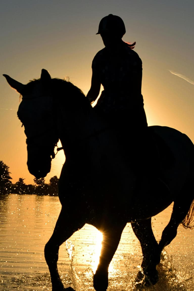 Immagine - Intermediate