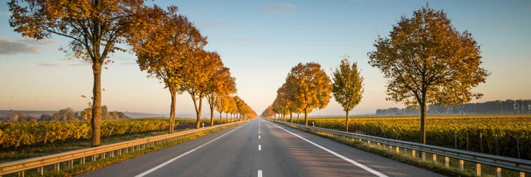 Οδικά ταξίδια