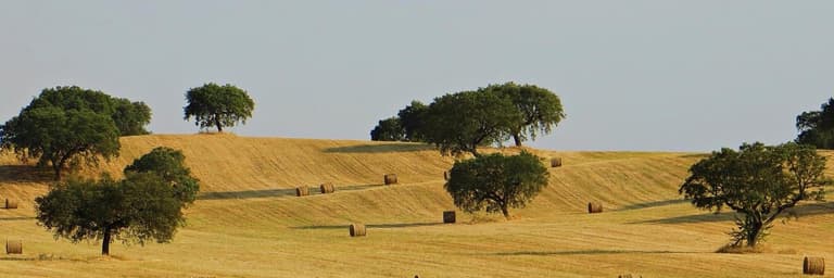 Alentejo