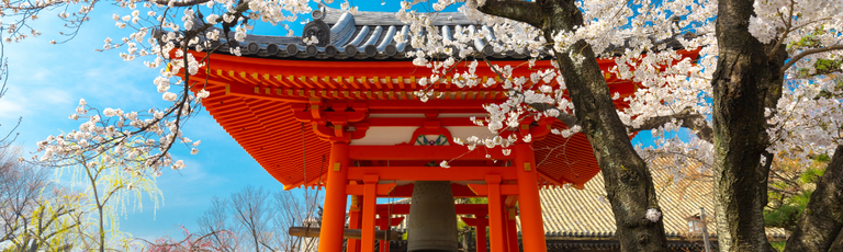 Imagen - GRANDES VIAGENS E MULTIDESTINOS