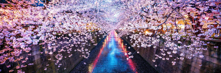 Εικόνα - Ασία