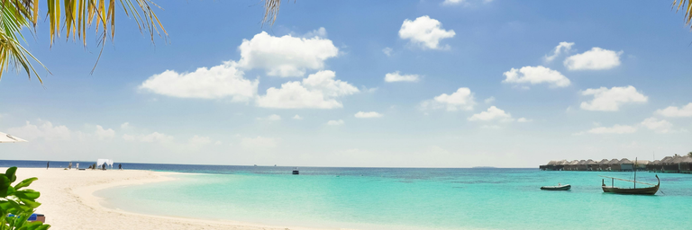 Resim - Muslim-Friendly Tours