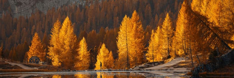 Image - We've got the world covered - from Alaska to Fiji , Patagonia to Papeete and everything in between 