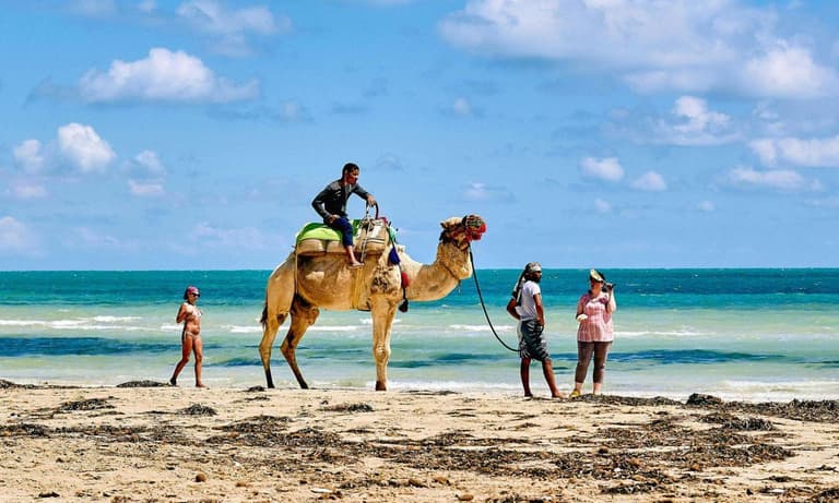 Imagen - Voos Especiais DIRETOS