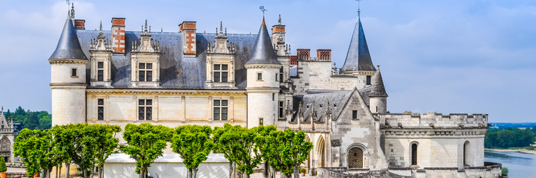 Imagen - Nuestros Magon Plus