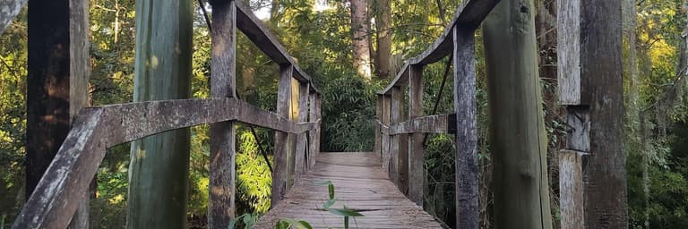 Imagen - Salidas al Delta de Tigre