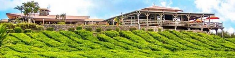 Bois Cheri, Mauritius