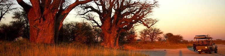 Parc national Nxai Pan, Botswana