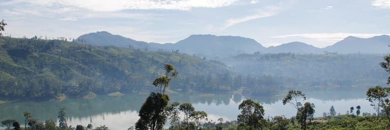 Hotelsuche für Rove