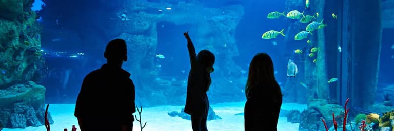 Image - Top Attractions & Activities