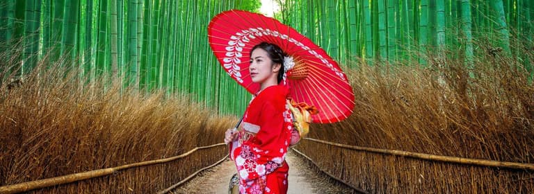 airplane, hotel, travel, beach, city, resort