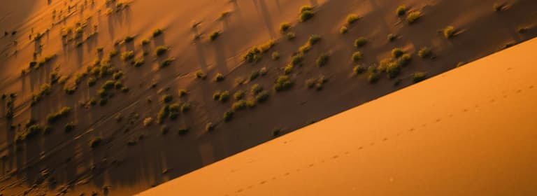 voyage, liberté, inspiration, réservation, multi-destinations, aventure