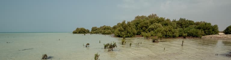 Farasan Island, Saudi Arabia
