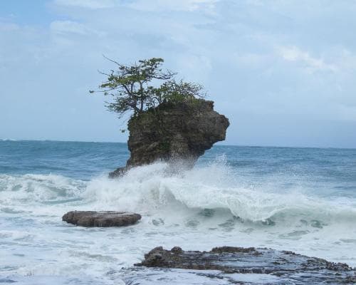 Manzanillo CR, Costa Rica