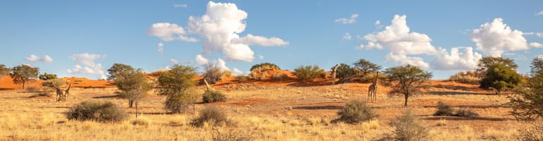 Kalahari, Namibia