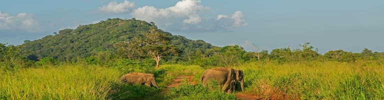 Udawalawe, Sri Lanka