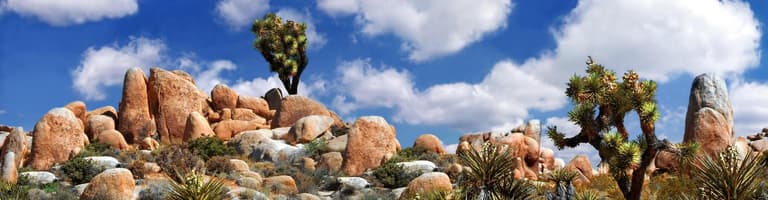 Twentynine Palms CA, Etats-Unis d'Amérique